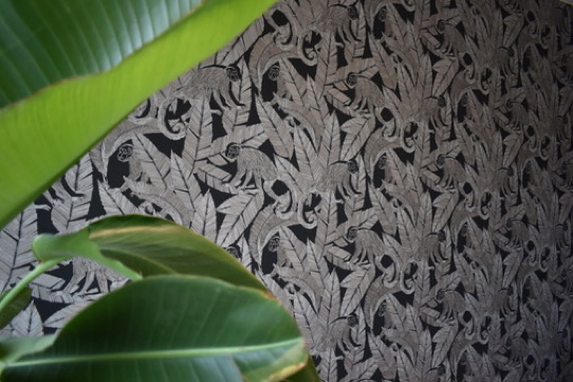 Designer behang met tropisch patroon van apen en bladeren op een donkere wand, met groene kamerplanten — behangwerken door Fresh Decor in Limburg